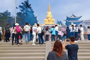 景区游客监测